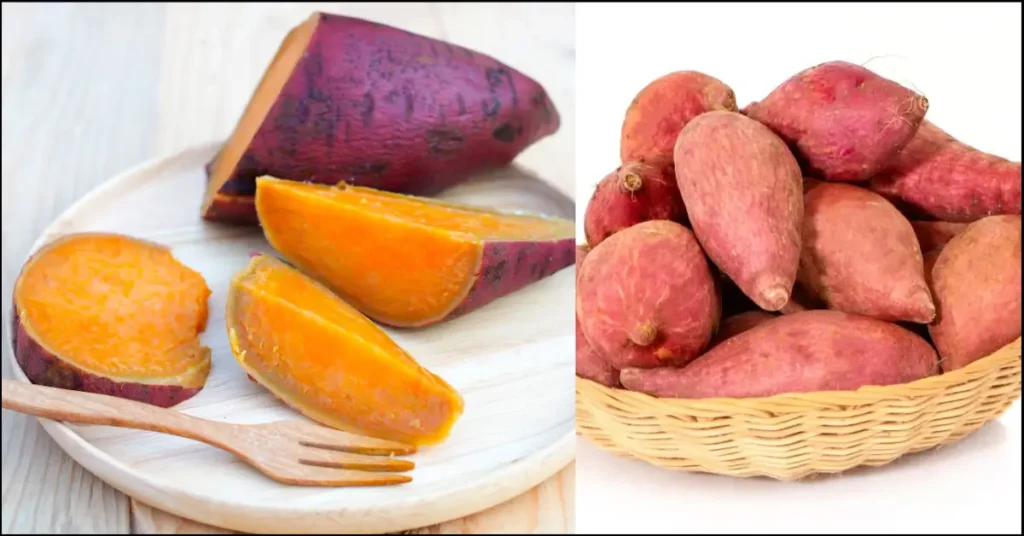 12 Benefits of Eating Sweet Potatoes in Hindi