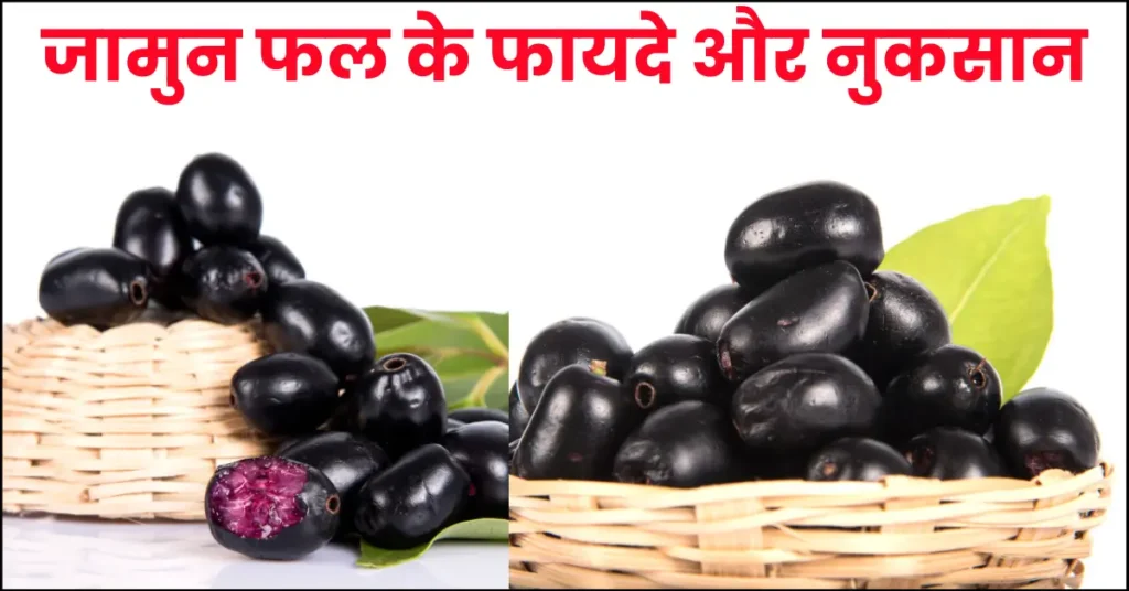 jamun fruit benefits and side effects in hindi