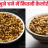 How Many Calories in 50 gm Roasted Chana in Hindi