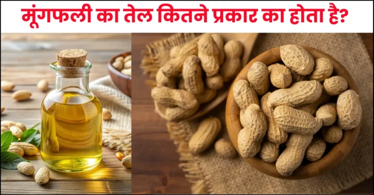 Types of Peanut Oil in Hindi