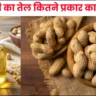 Types of Peanut Oil in Hindi