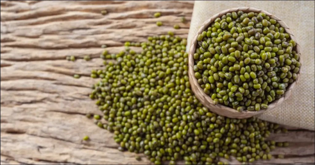 Mung bean