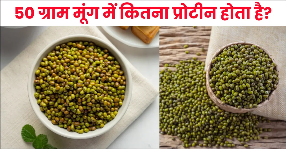 50 ग्राम मूंग में कितना प्रोटीन होता है? 50 Gram Mung Mein Kitna