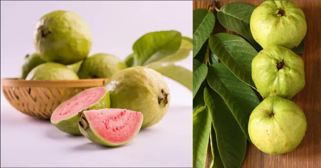 Can We Eat Guava During Cough and Cold in Hindi