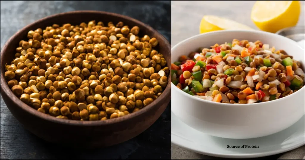 Is Roasted Chana Good Source of Protein in Hindi