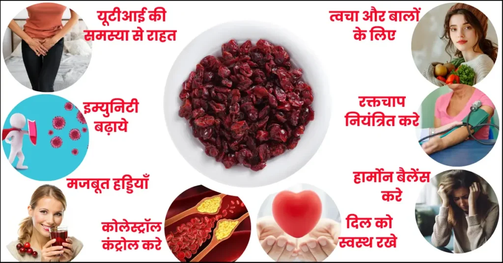 Dried Cranberry Benefits Side Effects in Hindi