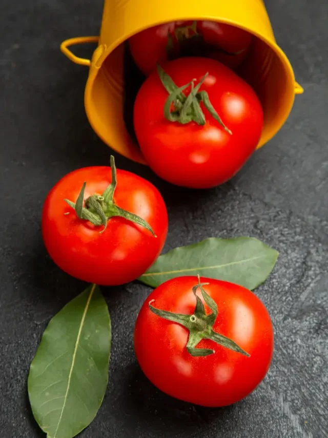 tamatar me kitna protein hota hai