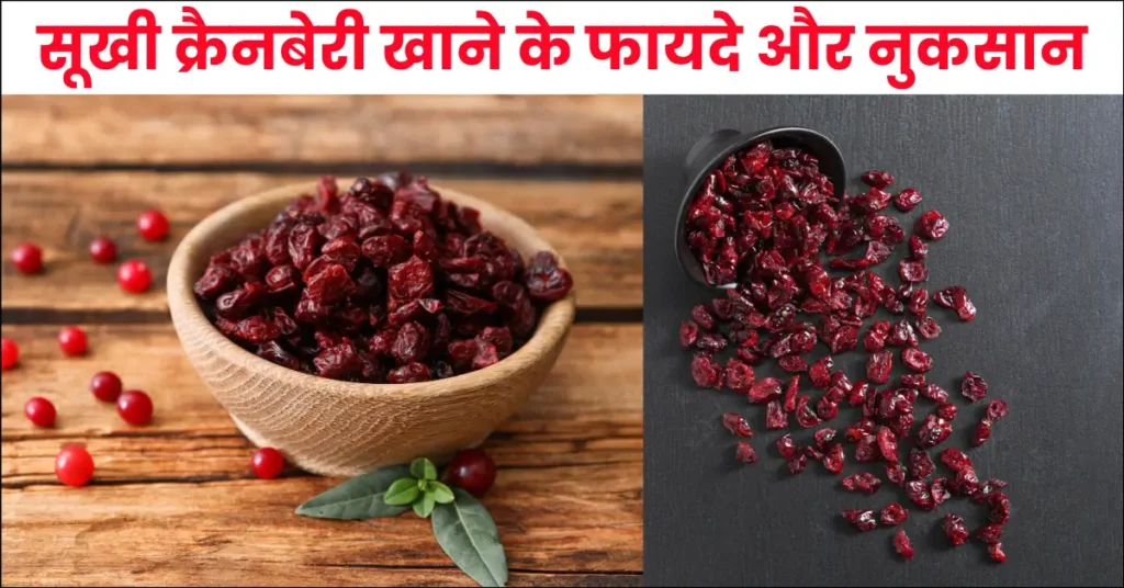 dried cranberry benefits side effects in hindi